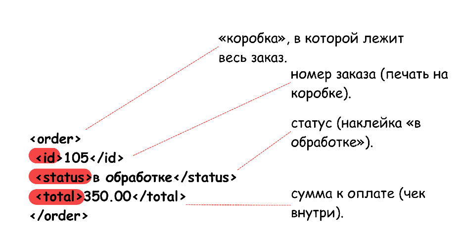  XML 